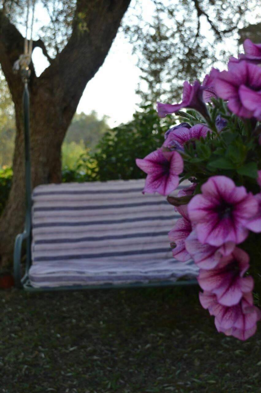 Sunny Garden Apartment Plataria Luaran gambar