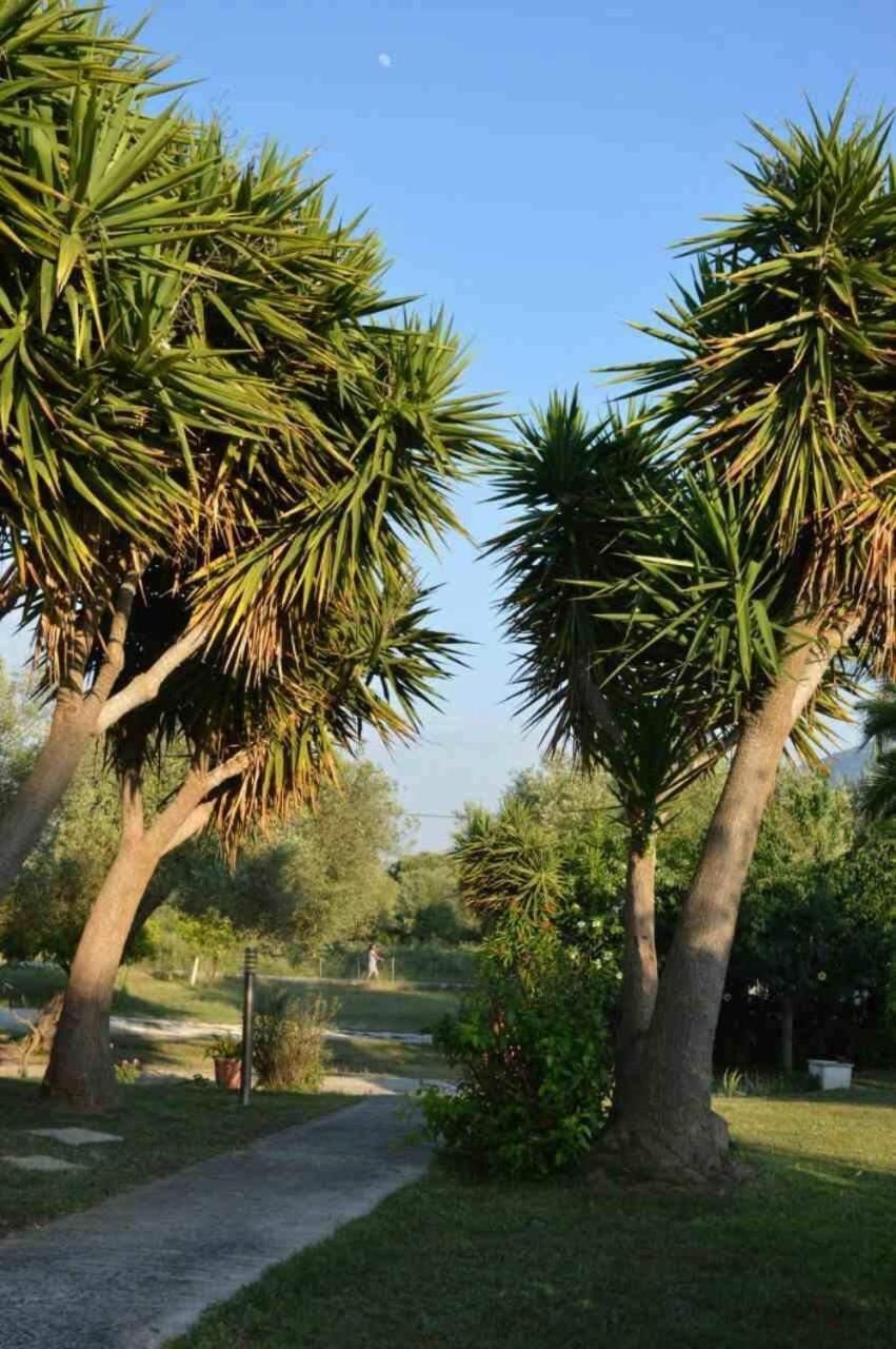 Sunny Garden Apartment Plataria Luaran gambar